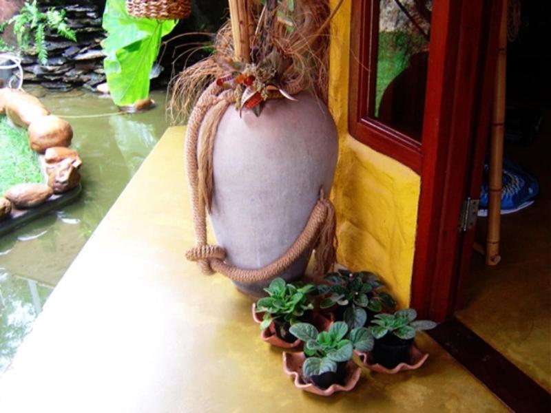 Pousada Bambu Brasil São Jorge Eksteriør billede
